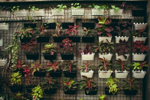 vertical garden featuring potted plants